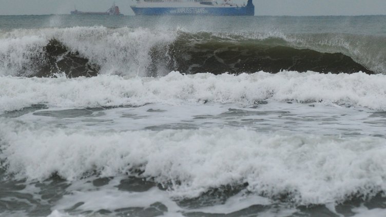 Труповете на двама удавника открити край Лозенец