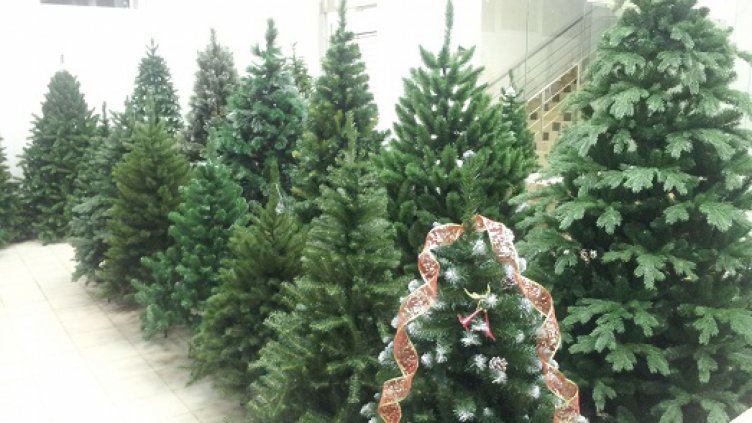 Над 60%  от изкуствените елхи на пазара са български