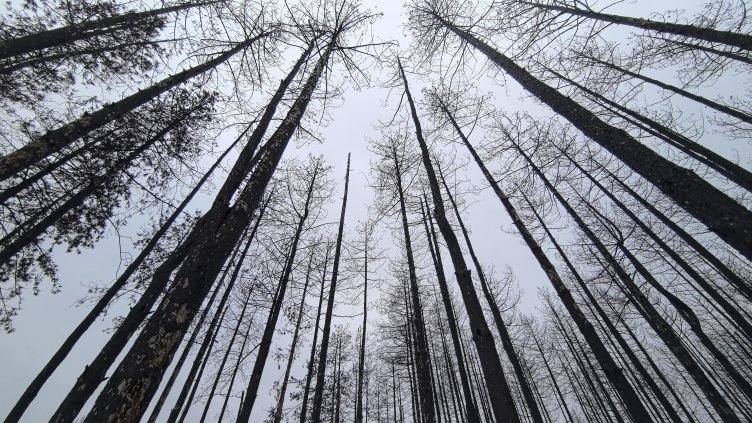 Добри са условията за туризъм в планините