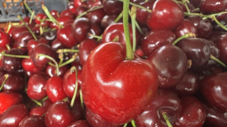 Спекула с черешите на Задушница, цените хвръкнали за няколко часа