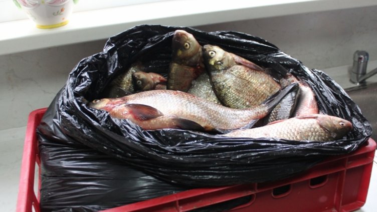 ИАРА извърши 2236 проверки от началото на ноември досега