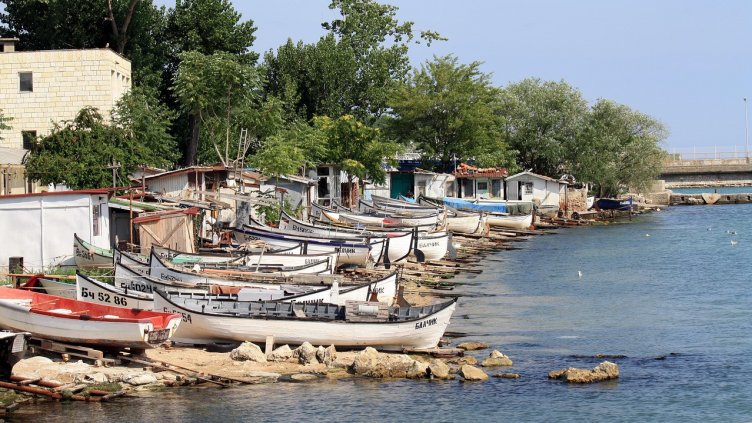 Снимка: Pixabay/ovidiucro