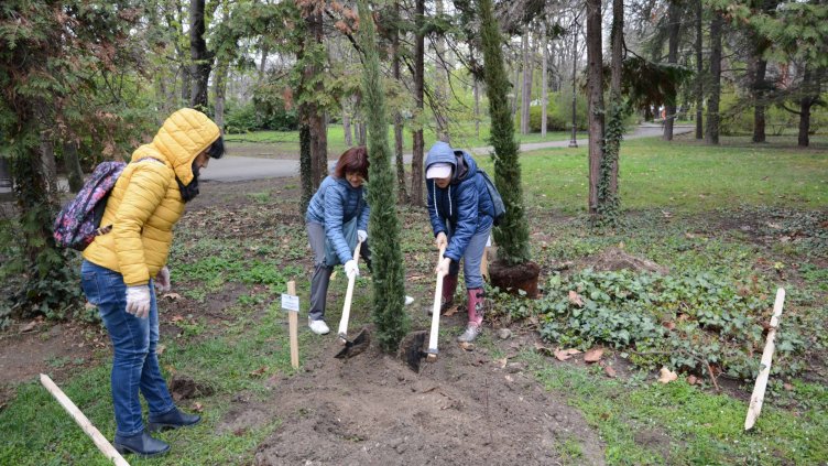Показват в интерактивна карта общинските терени във Варна за залесяване