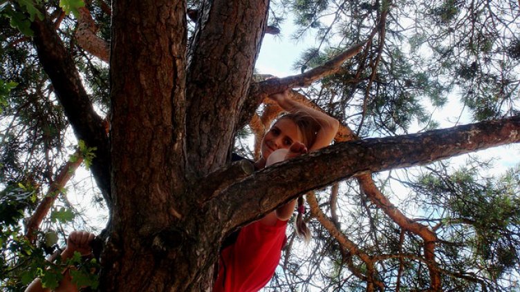 Катеренето по дървета подобрява паметта с 50 процента