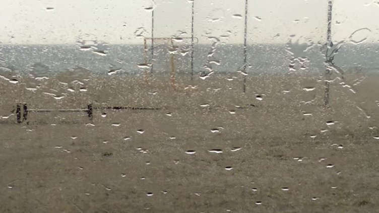 Валежи по морето в неделния следобед