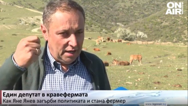 От жълтите павета до тучните поля: Яне остави политиката, стана кравар