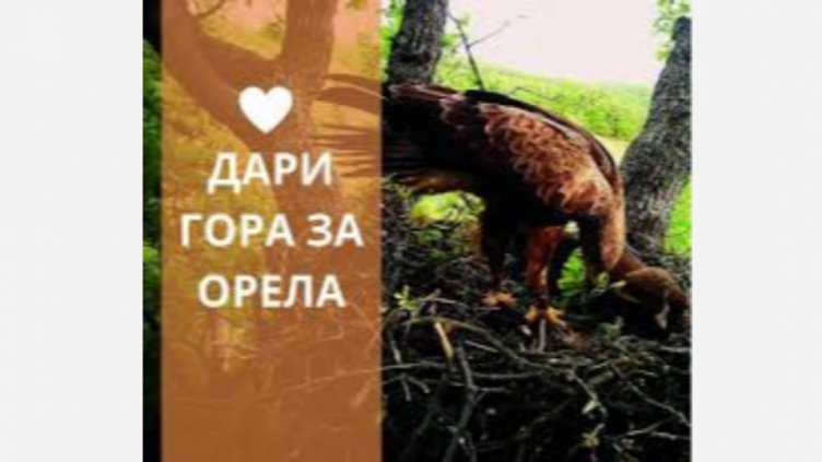 Създават „Гора на орела“ с дарения