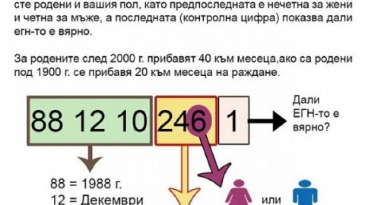 Експерти разкриха какво означават скритите цифри на личните карти