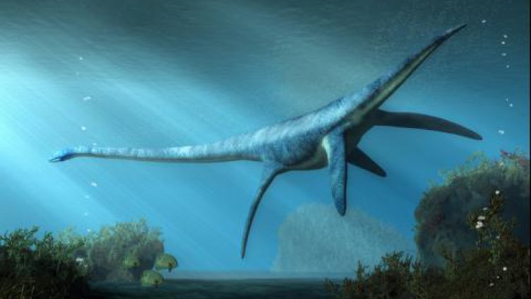 Откриха останки на морско чудовище на 150 млн. години
