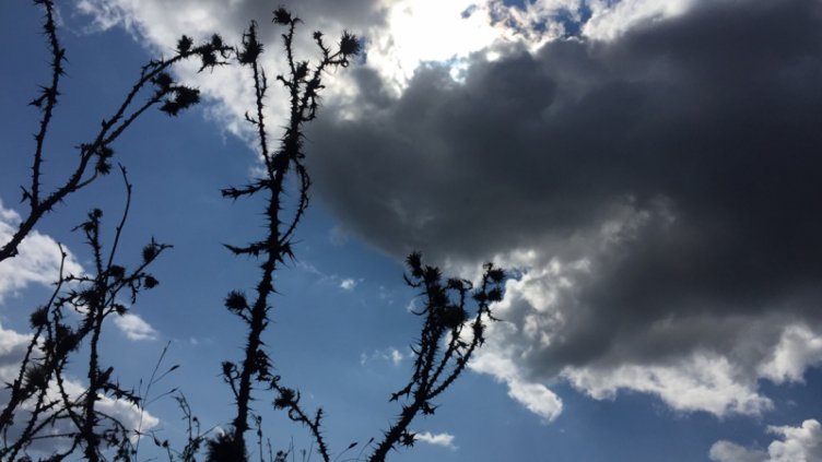 Какво време ни очаква на Томина неделя?