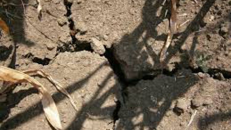 Варна е сред най-засегнатите от сушата области у нас