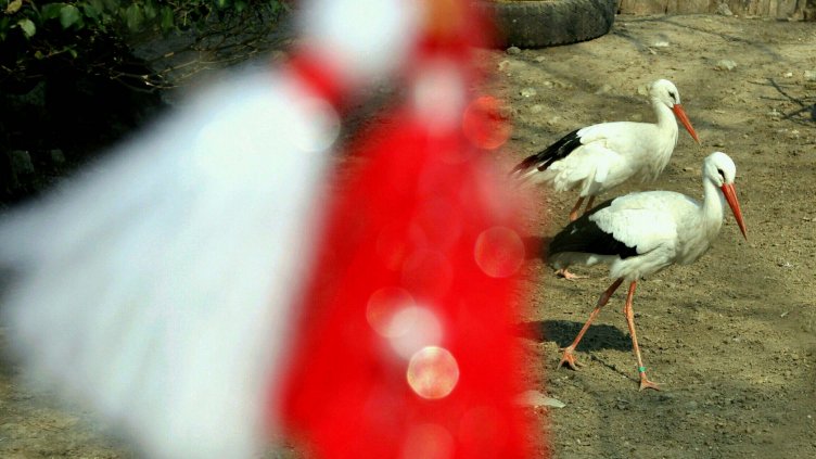 Снимка varna-zoo.com