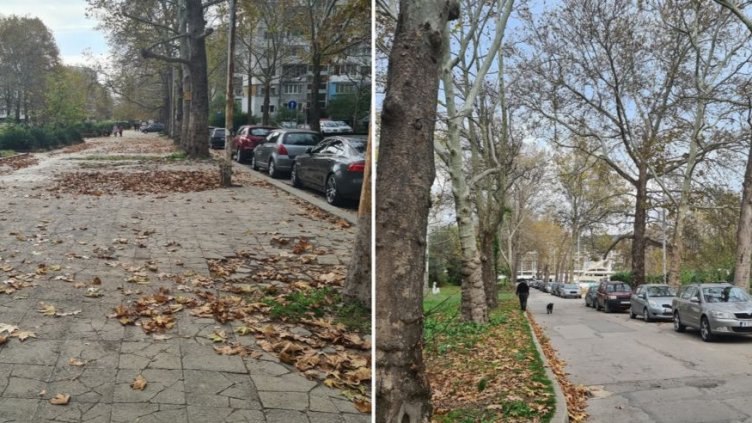 Без коли на тротоарите на ул. Чайка, изплашиха ги с фишове 