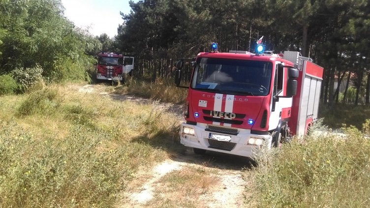 Младеж подпали къща във варненско село, имотът изгоря напълно