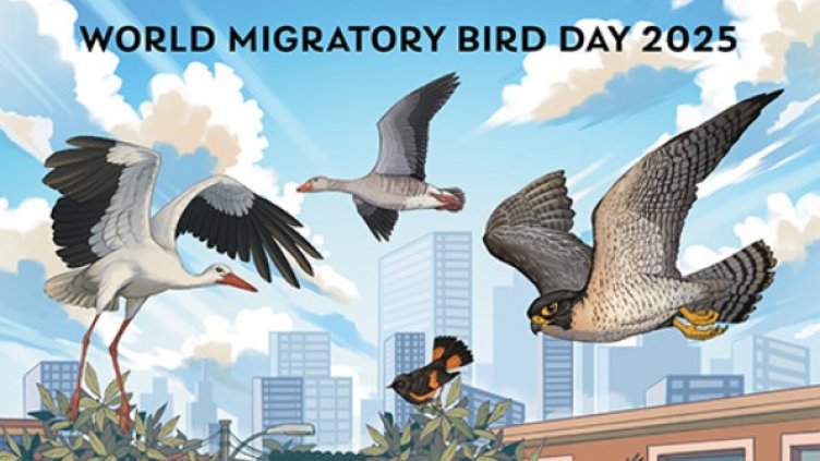Отбелязваме Международния ден на мигриращите птици	