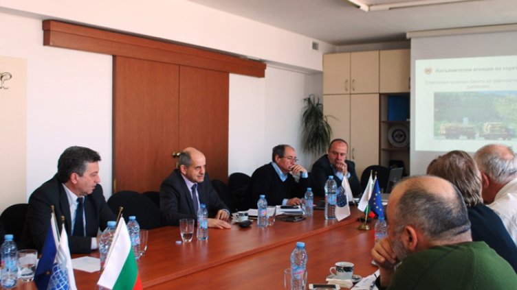 Засилват контрола върху износа и вноса на дървесина 