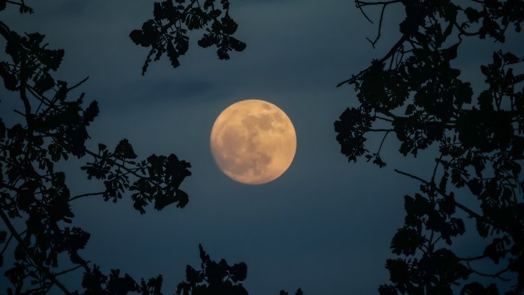 Пълна Цветна Луна ще се отрази на всеки от 12-те знака в зодиака