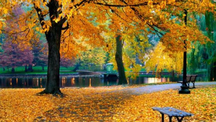 Какво време ни очаква през новата седмица?