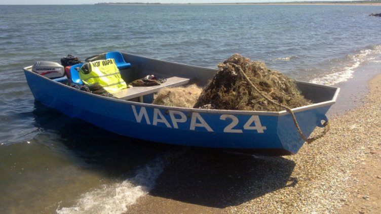 Иззеха 43 кг риба при 350 проверки