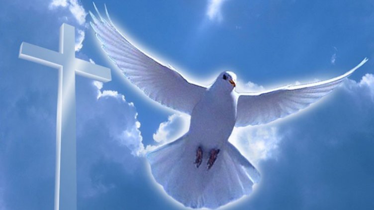 На Свети Дух кичим дома с орехова шума