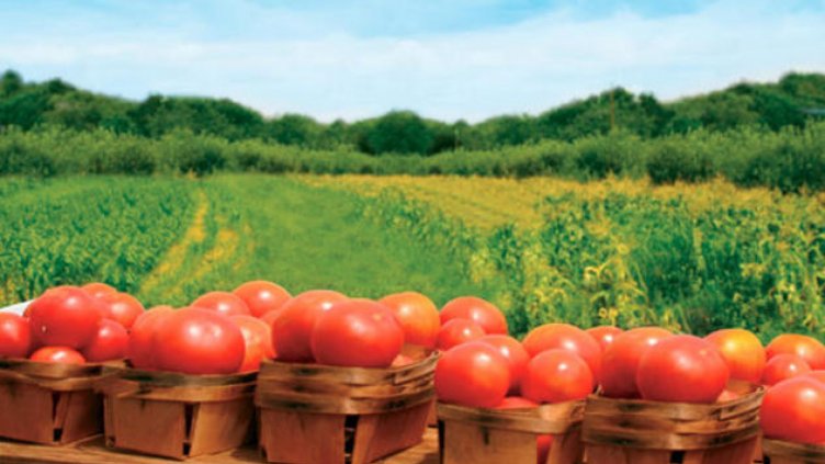 Фонд „Земеделие“ изплати 250 млн. лева за екологично земеделие