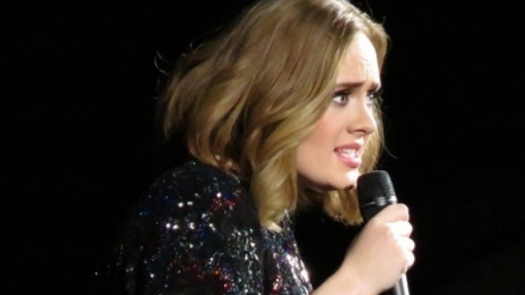 Адел спря концерта си заради фен