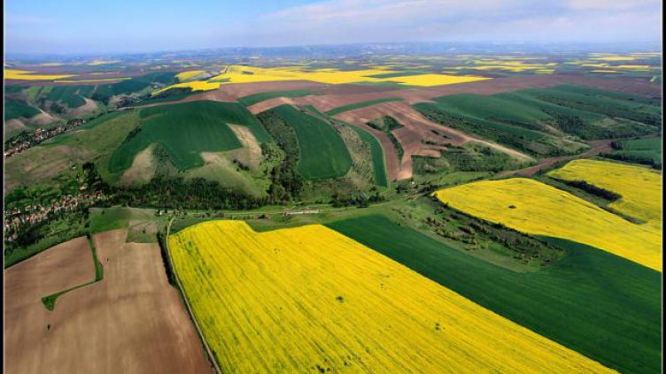 Рентата на земеделска земя с 4.8 % по-скъпа