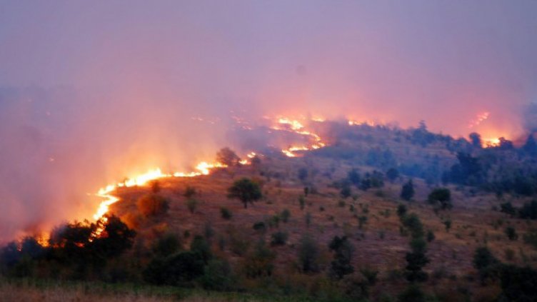 Овладяха пожара в Сакар, огнеборците остават на терен 