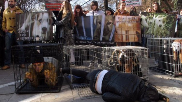 Протестът "Аз съм куче" в снимки