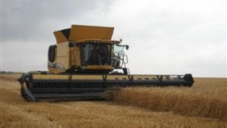 До дни се очаква да започне жътвата в Търговищко