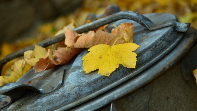 Снимка: Pixabay