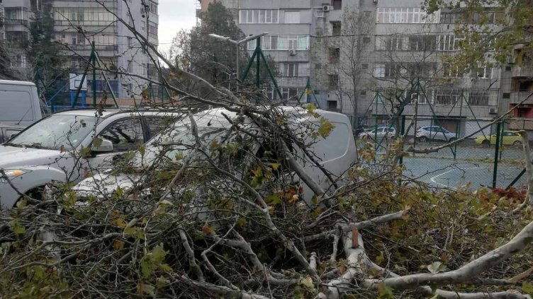 Масова сеч и месеци нестихващи ремонти: Ураган и... трагедията е пълна 