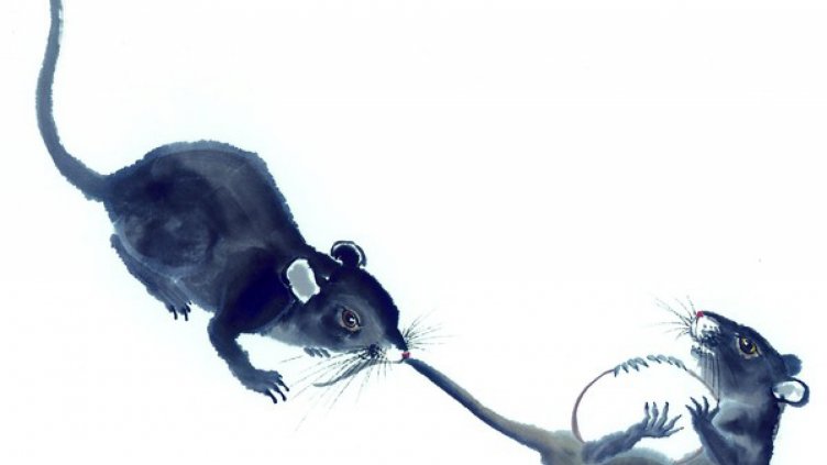 2019 – годината на Земния глиган (Плъх)