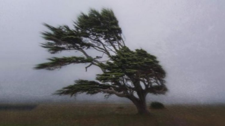 Отново жълт код за силен вятър във Варна и още 9 области