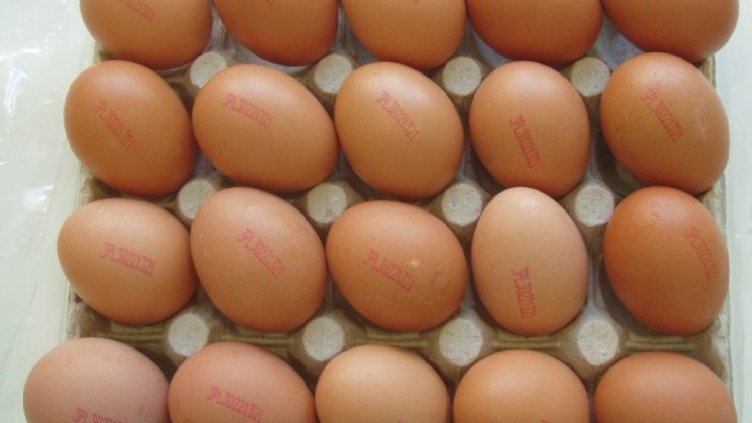 БАБХ изтегли яйцата със съмнение за салмонела 