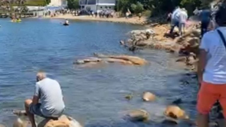 Протестиращи стигнаха до плажа в „Росенец“