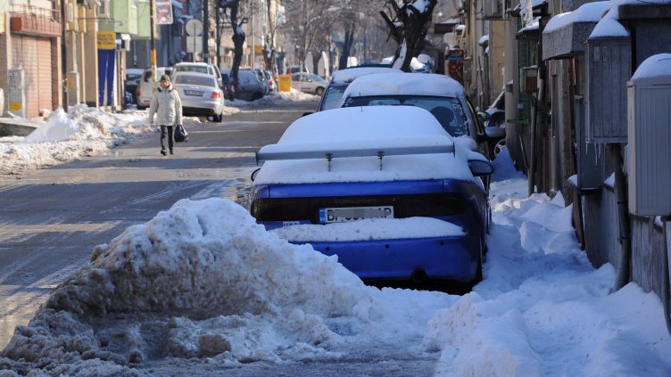 Снимка Пламен Гутинов