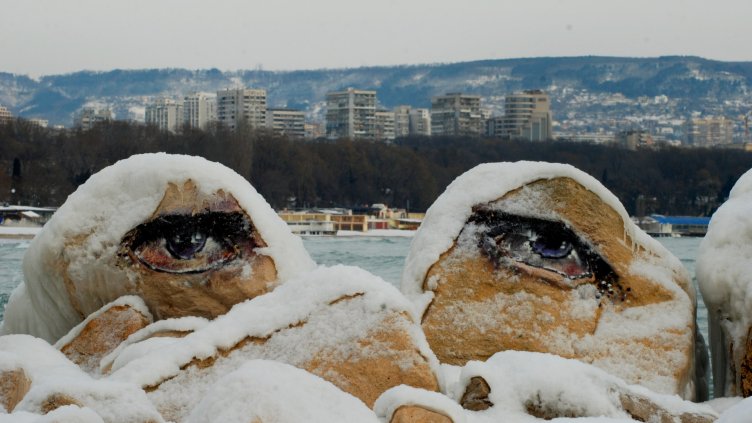 Снимка Пламен Гутинов