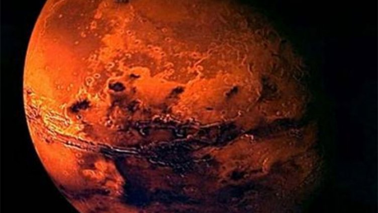 Отгледаха зеленчуци, които могат да виреят на Марс