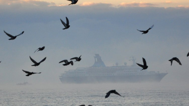 Снимка Пламен Гутинов, архив