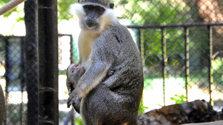 Снимка Пламен Гутинов