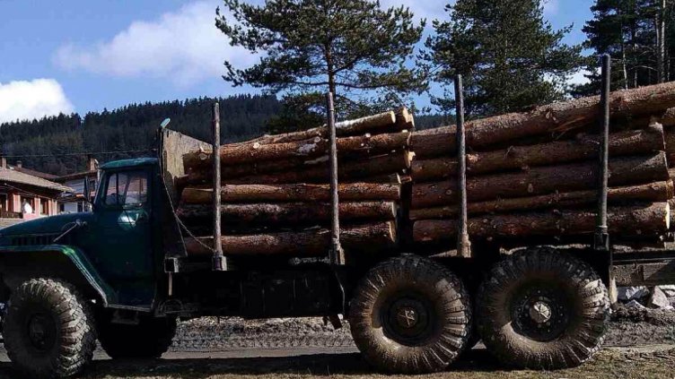 Санкционираха шофьори, превозващи дървесина без GPS устройства във Варна