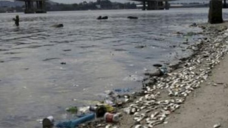 Водите в залива в Рио са опасни за здравето