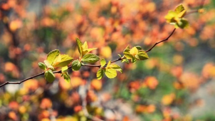 Слънце на Великден
