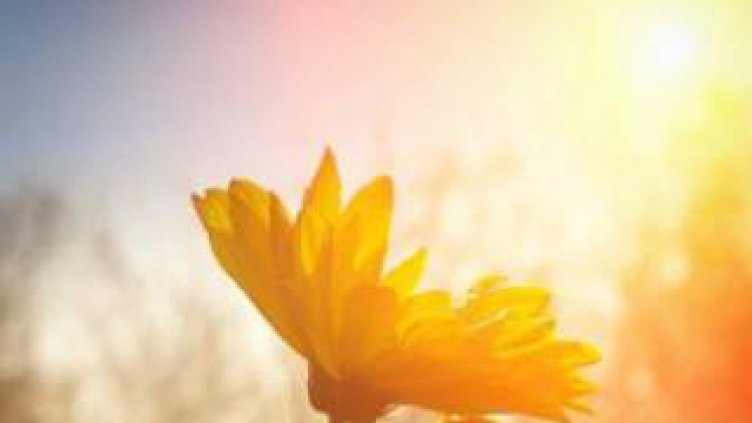 Очаква ни топъл и слънчев ден