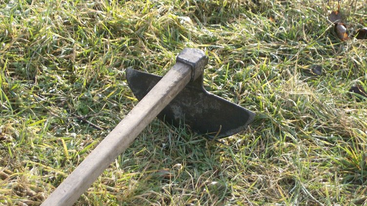 Виц на деня - 17 юли