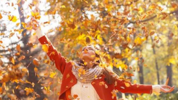 Какво ви очаква през 2019 според месеца ви на раждане - ОКТОМВРИ