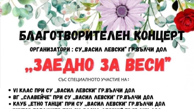 Във Вълчи дол канят на концерт „Заедно за Веси“