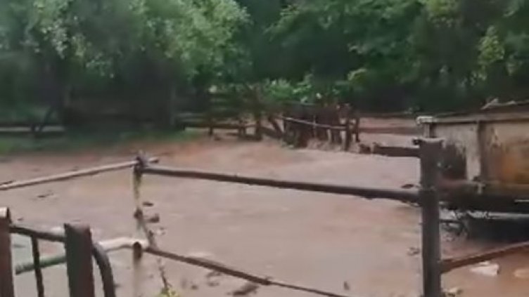 80 млн. лева за справяне с бедствия предвижда удълженият бюджет