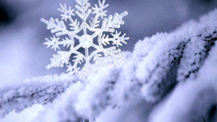 Почитаме паметта на свещеномъченици Левкий, Тир и Калиник